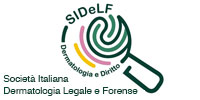 logo_sidef